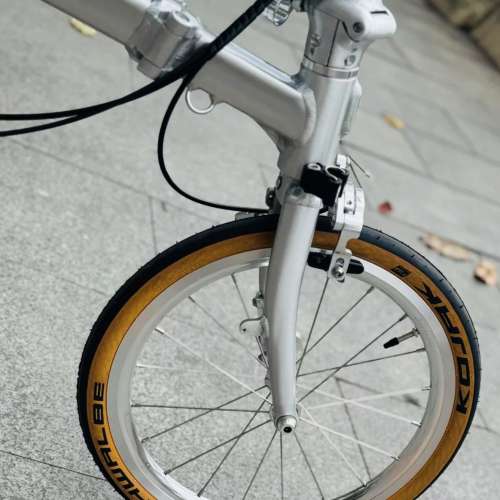 2025 鋁合金款 RUHM PRO C (PRO 1) 7速 C剎 碳纖維座管 16吋349 折叠車 送前後蛙燈叮...