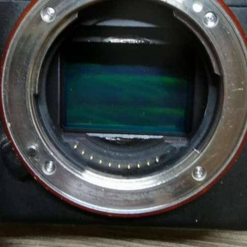 Sony A7R2 body 戰鬥版