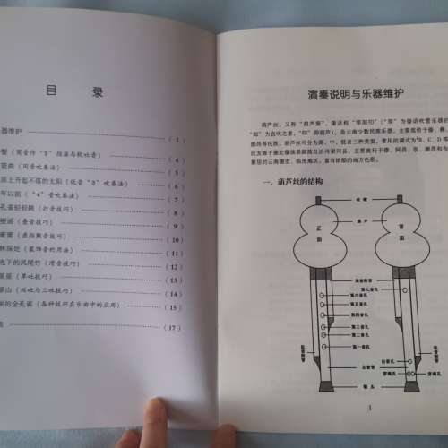 全新葫蘆絲快速入門教材 葫蘆絲巴烏自學入門教程 零基礎學葫蘆絲 初學者基本樂理 樂...