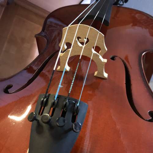 大提琴 Cello 4/4 full size