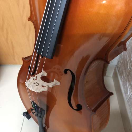 虎紋大提琴Tiger stripes Cello 3/4