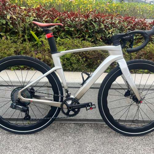 TWITTER GRAVEL V3 電變13速 桶軸碟剎碳纖維公路車 送水架前後蛙燈