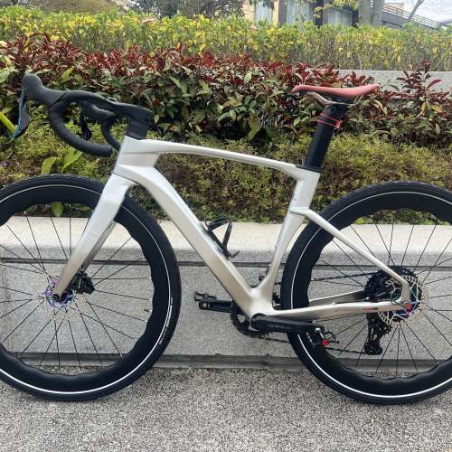 TWITTER GRAVEL V3 電變13速 桶軸碟剎碳纖維公路車 送水架前後蛙燈