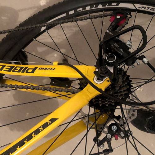 飛鴿牌成人鋁合金變速青少年