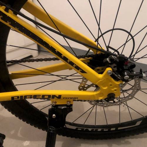 飛鴿牌成人鋁合金變速青少年