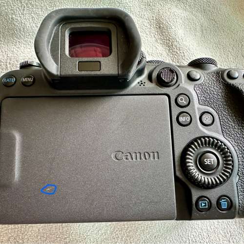 Canon R6淨機身行貨，連2粒原廠電