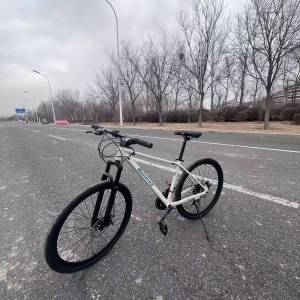 鋁合金變速單車