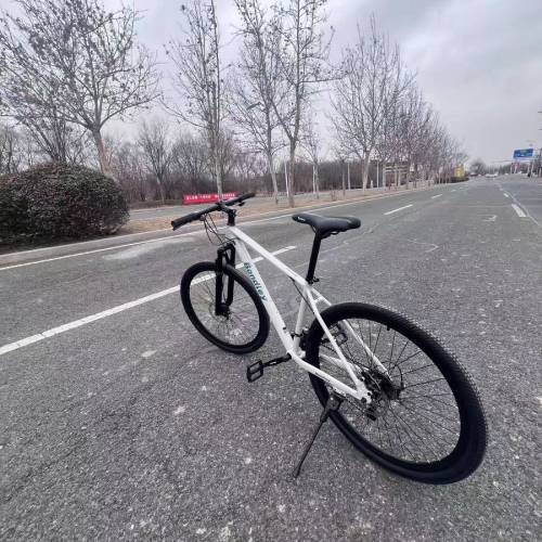 鋁合金變速單車