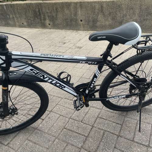 老年代步單車