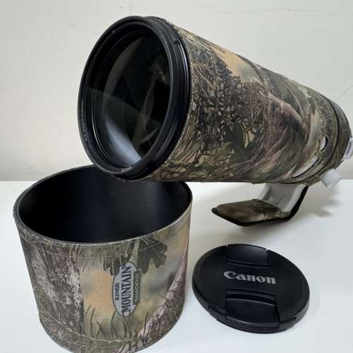 Sell Canon RF 200-800mm F6.3-9 IS USM 95% New 連炮衣&Filter