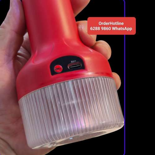 LED Light Bulb (15w) Torch 🔦. Rechargeable via USB-C 燈泡+電筒.2合1