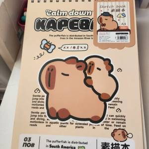 素描畫簿