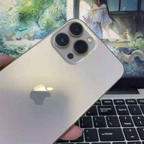 iPhone 13Pro Max 1TB  ，98%新，電池效率87  %