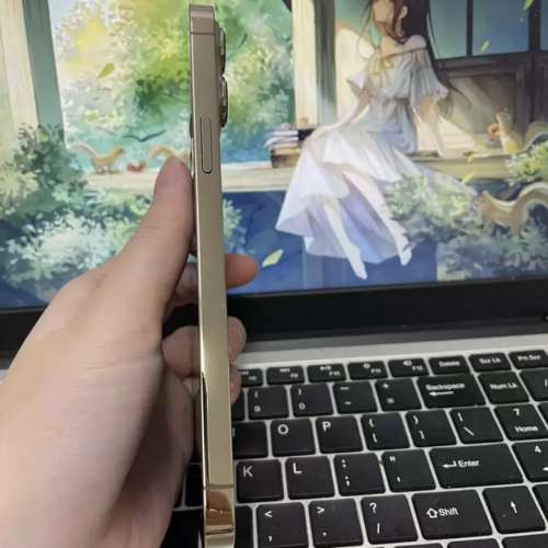 iPhone 13Pro Max 1TB  ，98%新，電池效率87  %