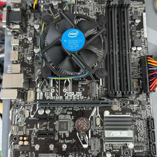 Intel i3 7100 & Asus B250M-A