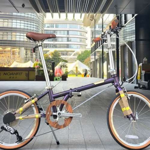 2025 全新款 Logo 復古 DAHON HAC003 D10 10速 鉻鉬鋼車架 折叠車 送水架前後蛙燈叮叮