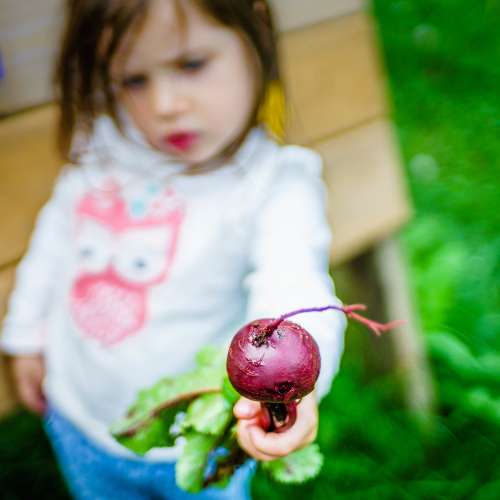 Konica AR Hexanon 40mm/1.8色濃銳利，散景層次豐富，啱SONYA7 富士GXR NikonZ7 EO...