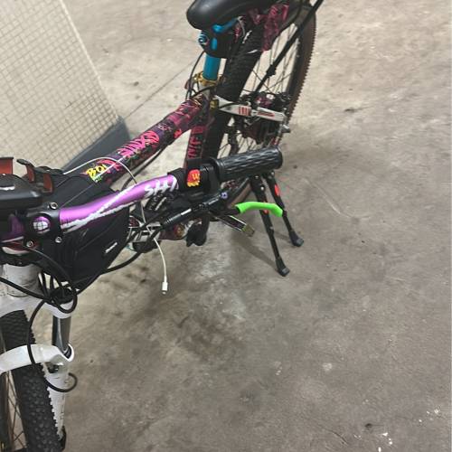 750 W電動單車