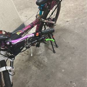 750 W電動單車