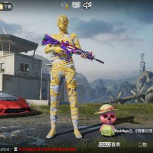 pubg 遊戲帳號
