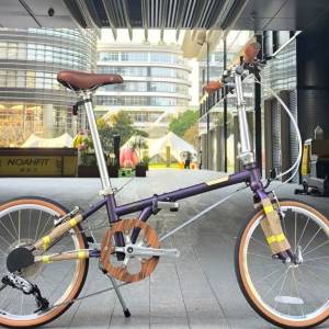 2025 全新款 Logo 復古 DAHON HAC003 D10 10速 鉻鉬鋼車架 折叠車 送水架前後蛙燈叮叮