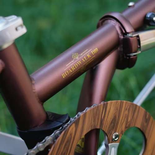 2025 全新款 Logo 復古 DAHON HAC003 D10 10速 鉻鉬鋼車架 折叠車 送水架前後蛙燈叮叮