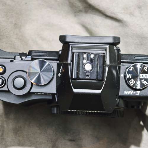 Olympus OM-D E-M5 一代 奧林巴斯 EM5