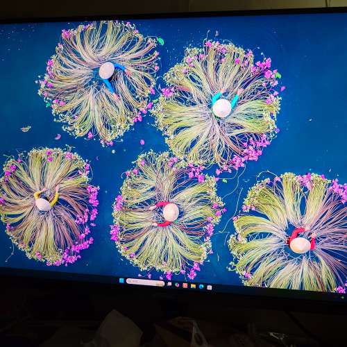 Asus pa32ucg mini led