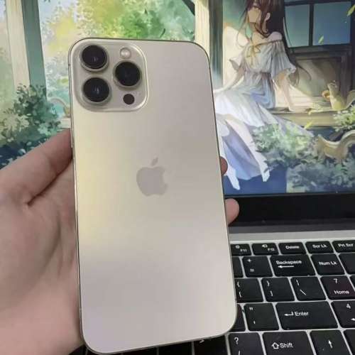 Iphone13promax 1TB金色 98新