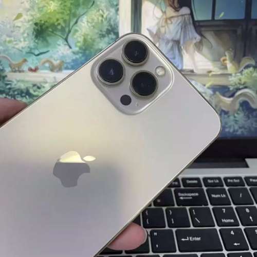 iPhone 13 pro max 1TB gold ，電池效能87 ％，送Magsafe Case及玻璃貼