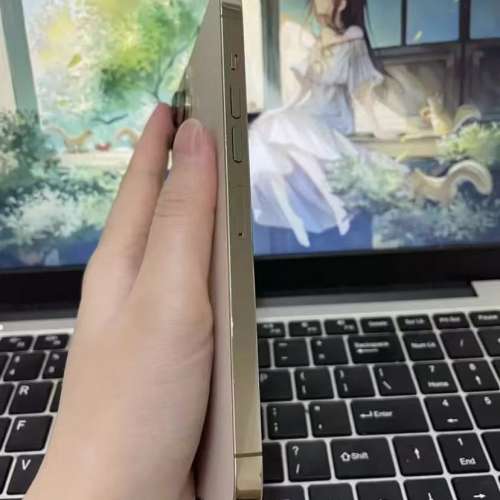 iPhone 13 pro max 1TB gold ，電池效能87 ％，送Magsafe Case及玻璃貼