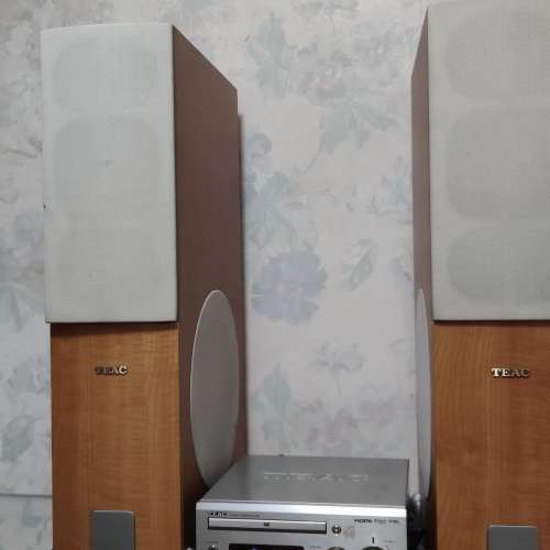 日本Teac Tc 550D 小形劇院音響一套