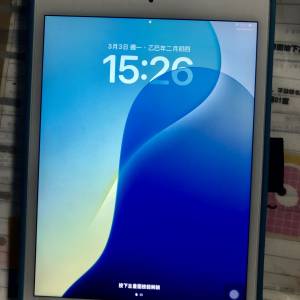 IPad mini 5 256 G LTE