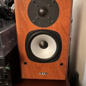 AE EVO one speaker