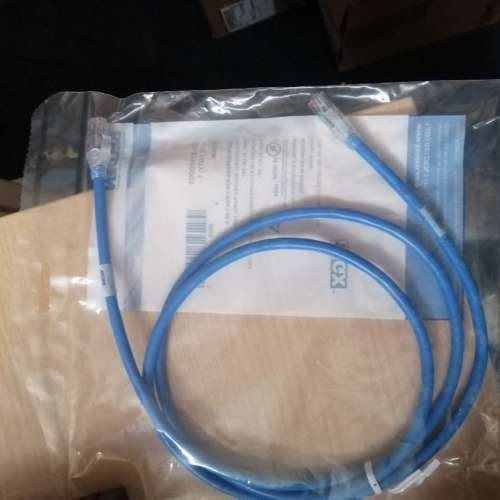 Lot of 5 Belden 10GX 5ft (1.5M) Patch cord 名廠 Cat6A 高速 上網線 100元5條