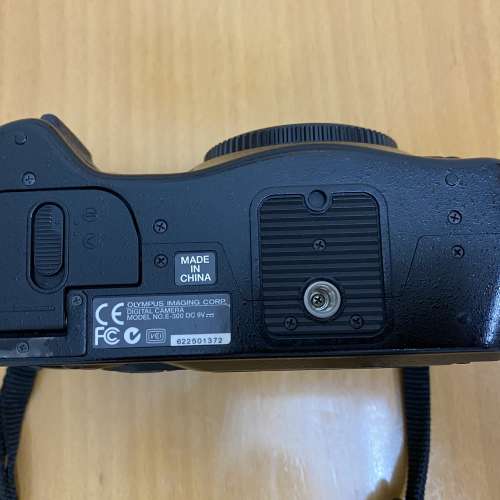 Olympus E-300 Kodak CCD