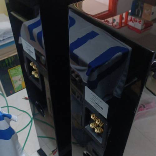 Foucs audio FS7剛琴木，靚仔冇咩花，聲音雄宏，歡迎試取！售$8800