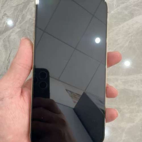 iPhone 13 pro max 1TB 自用機，電池效能87 ％，送Magsafe Case及玻璃貼