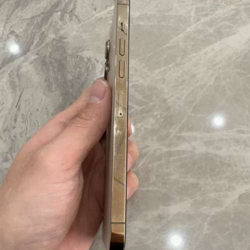 iPhone 13 pro max 1TB 自用機，電池效能87 ％，送Magsafe Case及玻璃貼