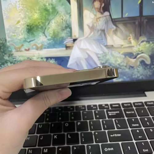 Apple iPhone 13Pro Max 1TB  ，98%新，電池效率87  %