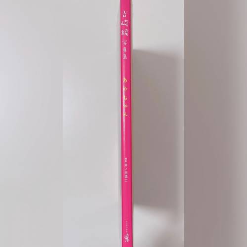 日本❗️吉崎綾 寫真集 女星