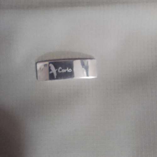 Carlo Rino實用袋$80