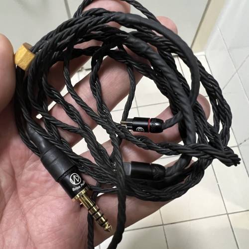 個人閒置 brise audio asuha 8絞 4.4頭 2 pin
