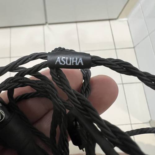 個人閒置 brise audio asuha 8絞 4.4頭 2 pin