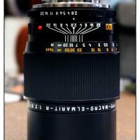 Leica APO-Macro-Elmarit-R 100mm f/2.8 (1993)