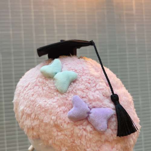 預訂🌟正版sanrio piano畢業公仔 👋 收全數後訂做$259包公仔、畢業帽、畢業袍、畢業...