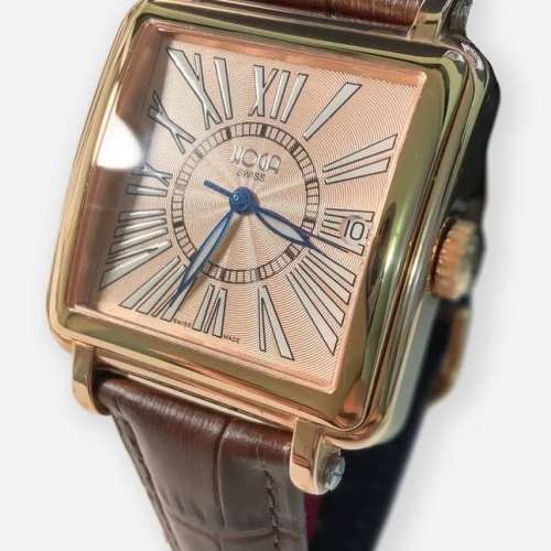 Hoga automatic機械自動腕錶