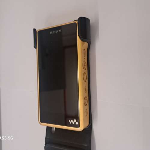 Sony wm1z