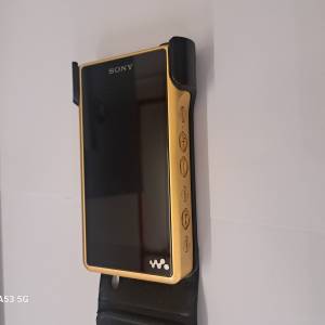 Sony wm1z