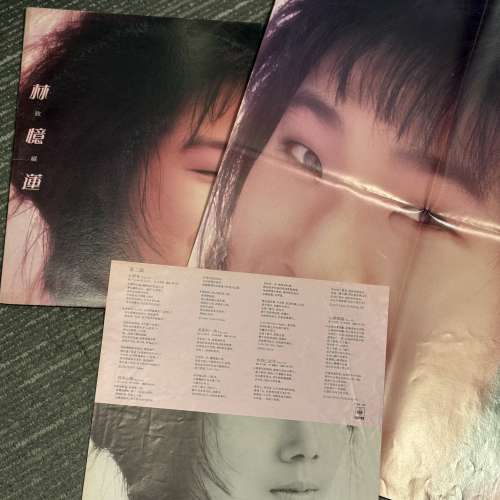 林憶蓮-放縱 (粉紅膠) 齊歌詞海報